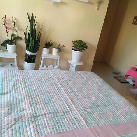 Apartment Luxury In Front Of The Sea In